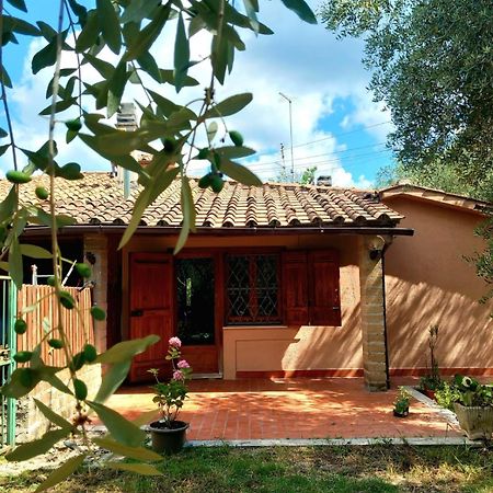 All'Ombra Degli Olivi Pisciarelli Экстерьер фото