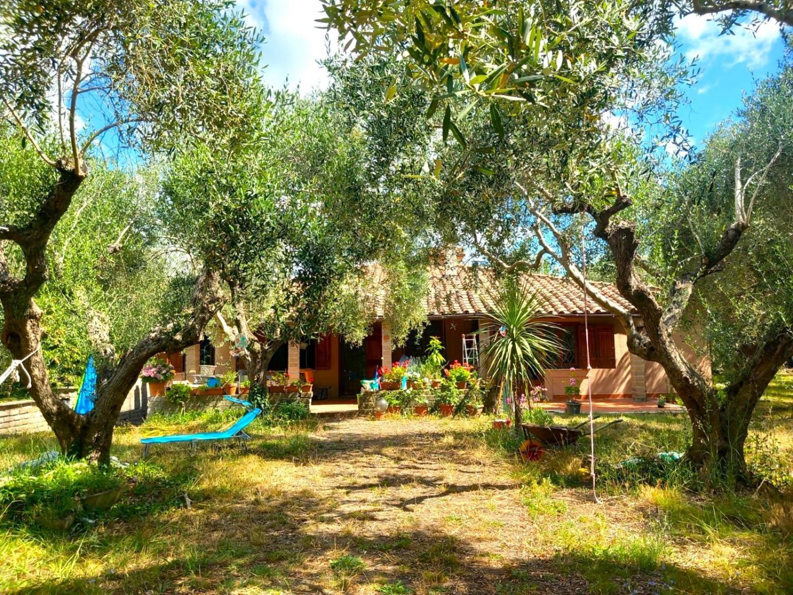 All'Ombra Degli Olivi Pisciarelli Экстерьер фото